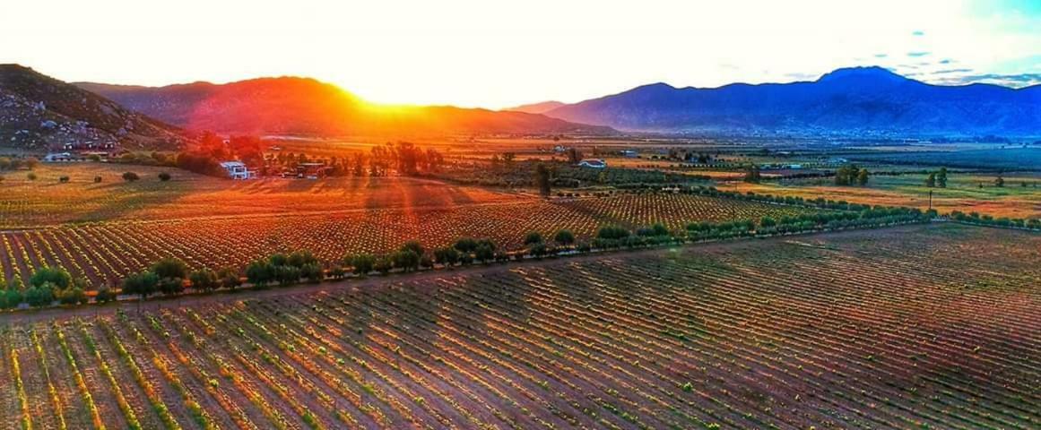 Villa Corsua Valle de Guadalupe Luaran gambar